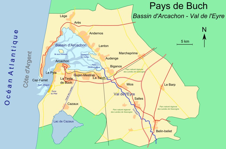 Visite du bassin d'Arcachon